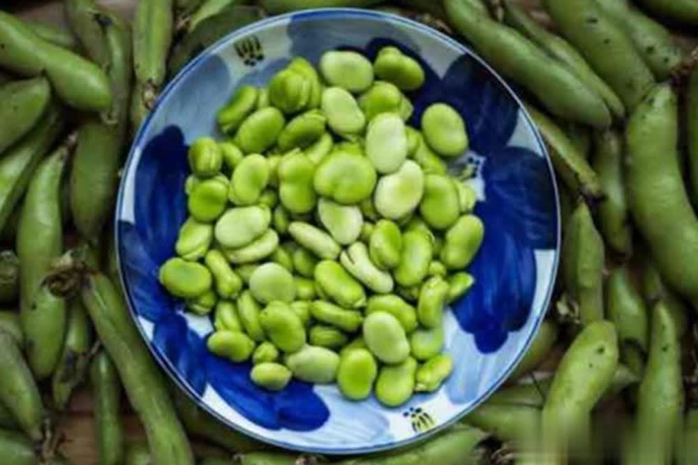 养殖塘, 饵料不对进 养殖塘, 饵料不对进