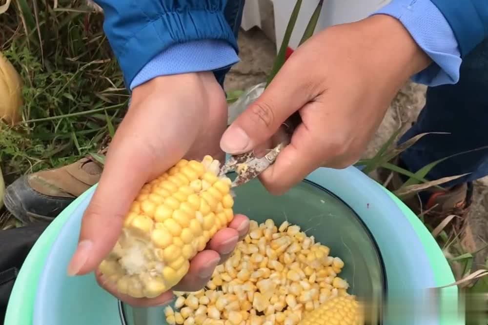 秋季是钓大, 复杂 秋季是钓大, 复杂