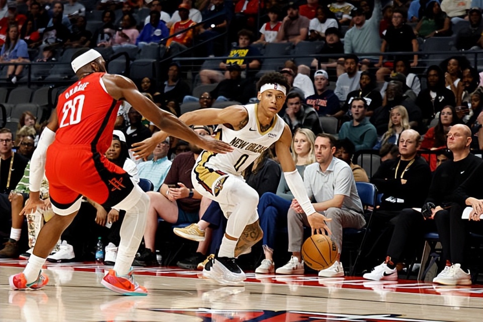 而鹈鹕则是 而鹈鹕则是